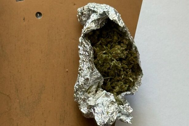 dosar penal pachet cu resturi vegetale psihoactive aruncat la gunoi descoperit de jandarmi in slatina 6873904427976