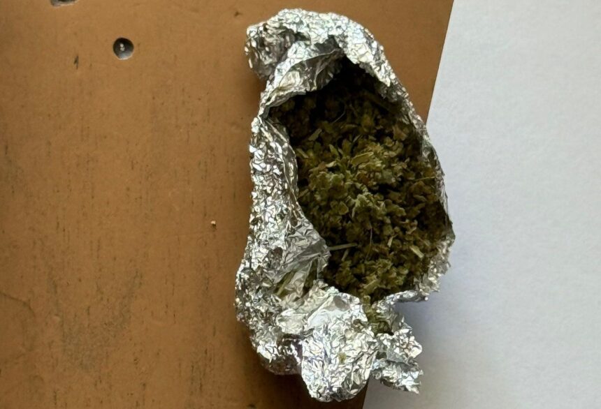 dosar penal pachet cu resturi vegetale psihoactive aruncat la gunoi descoperit de jandarmi in slatina 6873904427976