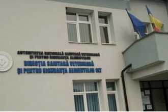 dsvsa olt e29482controale si amenzi pe perioada caniculara 688b6b7e9b325