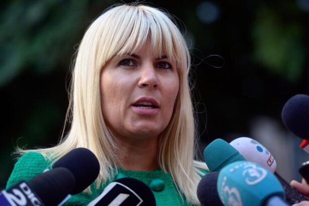 elena udrea este libera dupa aproape 4 ani in spatele gratiilor decizia judecatorilor de liberate conditionata este definitiva 6878d6478d336