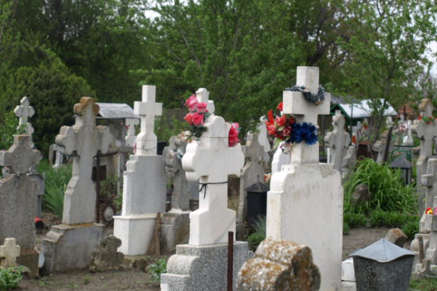 frauda de peste 13 milioane de lei cu monumente funerare la iasi 6863ba0d081ef 2