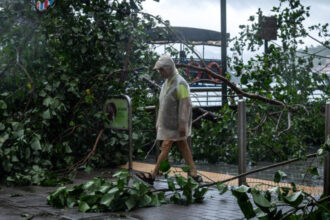 galerie foto taifunul wipha a lovit sudul chinei ploi torentiale peste 400 de copaci doborati si zeci de persoane ajunse la spital in hong kong 687d32dc0d974