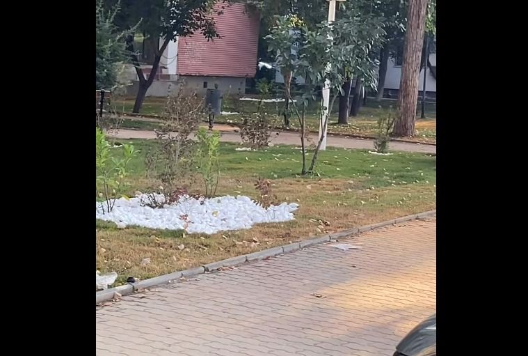 gazonul pus de firma dus pe bulevardul ai cuza din slatina s a uscat la scurta vreme de la plantare video 686e5474785d3