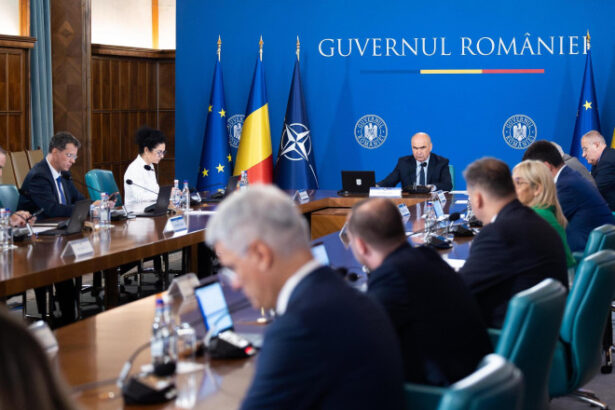 guvernul stabileste azi mecanismul prin care pot fi reintroduse controalele la frontierele interne 688b2512828ff