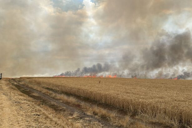 incendiu de proportii in movileni provocat de un stalp de electricitate doborat de vant foto 686e3594076e2