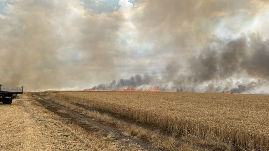 incendiu de proportii in movileni provocat de un stalp de electricitate doborat de vant foto 686e3594076e2