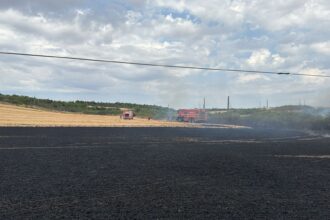 incendiu provocat de un stalp electric 150 hectare de miriste si lan de grau facute scrum 686e645b36862