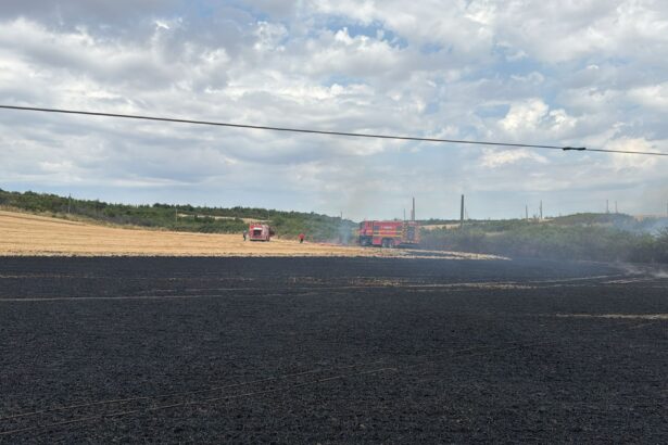 incendiu provocat de un stalp electric 150 hectare de miriste si lan de grau facute scrum 686e645b36862