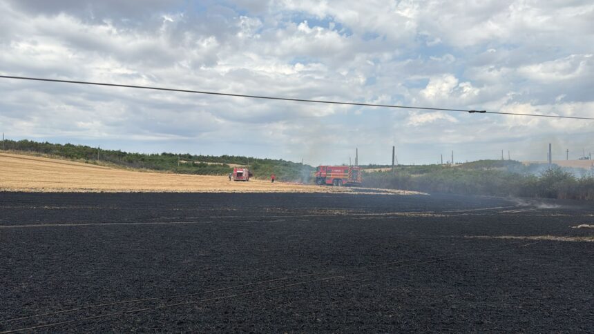 incendiu provocat de un stalp electric 150 hectare de miriste si lan de grau facute scrum 686e645b36862
