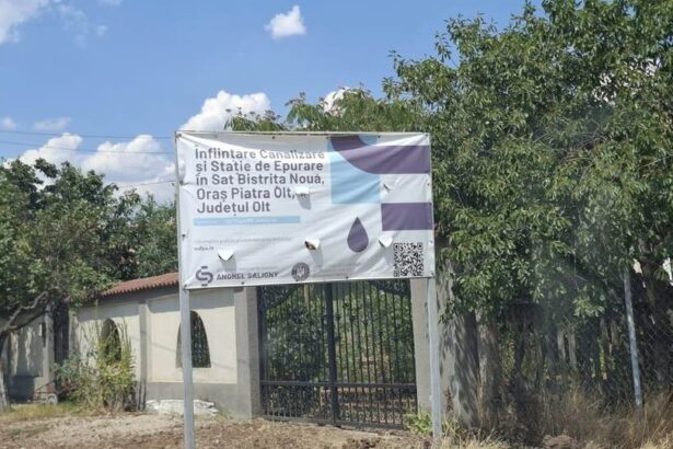 la semnalul partidului primarii psd din olt se razvratesc impotriva deciziei de stopare a programului anghel saligny 687fbb2d346f8