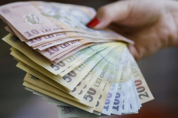 ministrul economiei anunta ca directorul unei companii de stat si a redus voluntar salariul cu peste 35 000 de lei 687007dd151c2