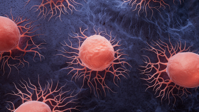 mutatia genetica subtila care i face pe oameni vulnerabili la cancer explicatia cercetatorilor si comparatia cu alte primate 6870b0c67cb52