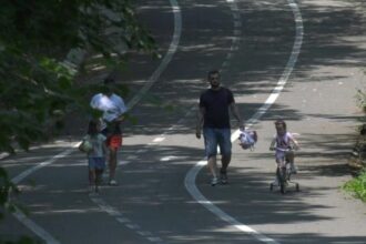 padurea strehareti refugiul perfect in zilele toride 686bb62684482