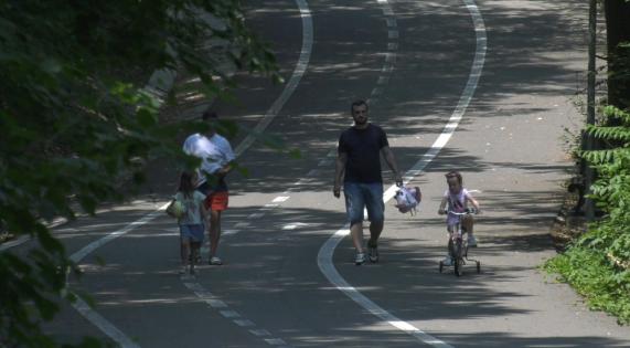 padurea strehareti refugiul perfect in zilele toride 686bb62684482