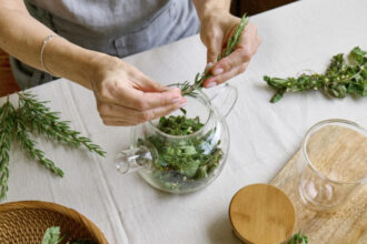 planta aromatica medicinala care sprijina si imbunatateste memoria medicii afirma poate sustine functiile cognitive 6863695b2e9ef