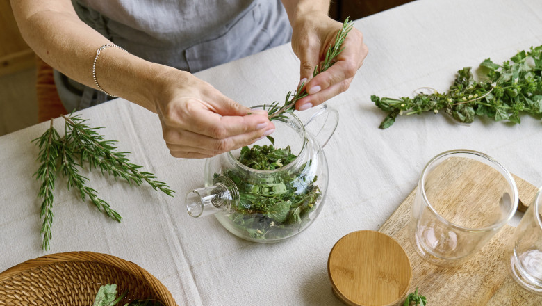 planta aromatica medicinala care sprijina si imbunatateste memoria medicii afirma poate sustine functiile cognitive 6863695b2e9ef