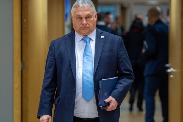 premierul ilie bolojan si viktor orban prim ministrul ungariei intalnire informala miercuri seara la palatul victoria 687fc54e51596