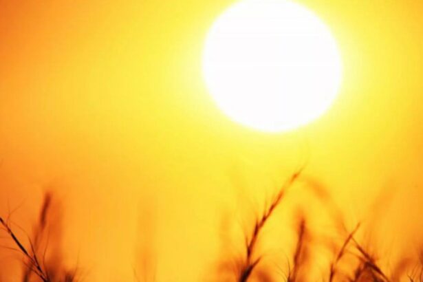 revine vremea caniculara oltul sub cod galben pana miercuri dimineata 6874d310020ea