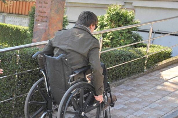 rovinieta gratuita pentru persoanele cu handicap 687f3e071f266