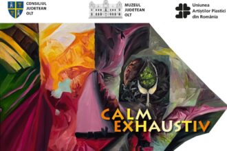 slatina expozitia de pictura calm exhaustiv dragos botezat 686c19132339b