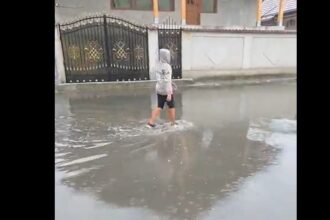 tot rahatul din oras ajunge la noi strigat de ajutor de pe strada gradiste din slatina video 688b5fff37111