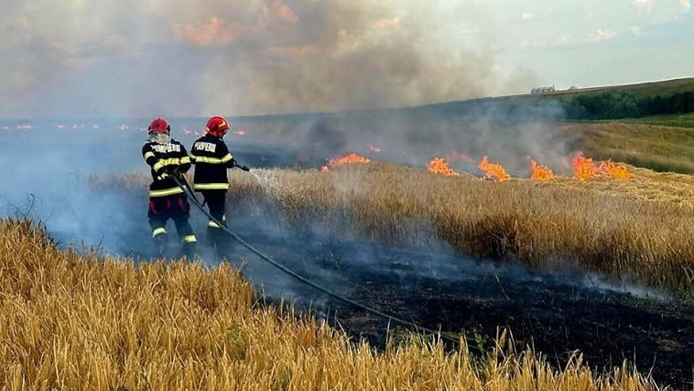 video alerta in oltenia 53 de incendii in decurs de 3 zile zeci de pompieri se lupta cu flacarile 750 de hectare mistuite 6875f2e1a5061
