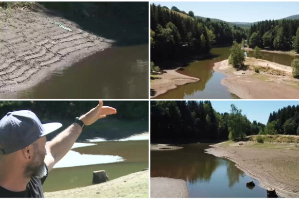 video ar trebui sa fim sub apa aici imagini dezolante cu lacul trei ape care seaca dramatic de la un an la altul 686a373d7ac4c