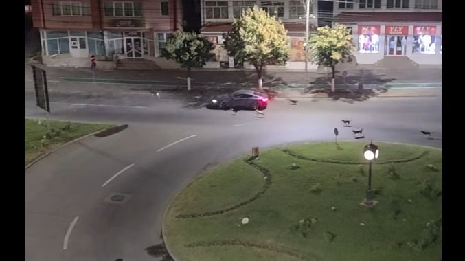 video haita de caini in centrul slatinei 686ca1805b2d1