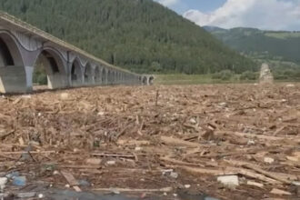 video pericol la barajul bicaz tone de lemne au fost aduse de viitura si au acoperit lacul ce spun autoritatile despre situatie 688b3a98affe8
