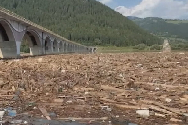 video pericol la barajul bicaz tone de lemne au fost aduse de viitura si au acoperit lacul ce spun autoritatile despre situatie 688b3a98affe8