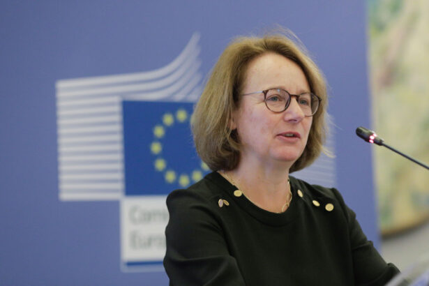 video sefa pnrr vizita la bucuresti romania va trimite la bruxelles planul national de redresare si rezilienta revizuit 6874b27277c93