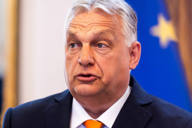 video viktor orban si ilie bolojan intalnire informala la palatul victoria ce au discutat cei doi prim ministri 68813f5450e4d