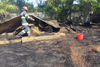 15 hectare de vegetatie si patru gospodarii afectate in incendiul din milcovul din vale 689af7aa1c323