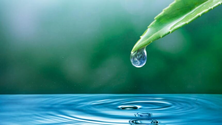 apa devine o moneda si va fi tot mai scumpa explicatia unui oficial cu privire la aceasta schimbare dramatica 68a6f17647f23