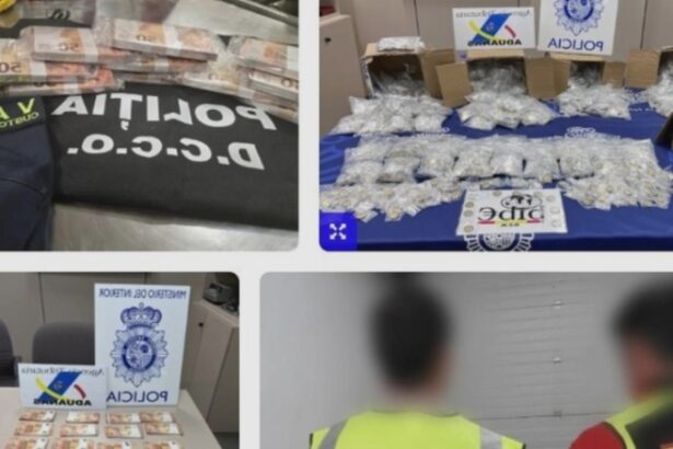 aproape 70 de milioane de euro falsi depistati de europol 68a616251c872