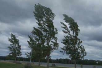 atentionare pentru judetul olt rafale puternice de vant in trei localitati 68a8cdbe001b1