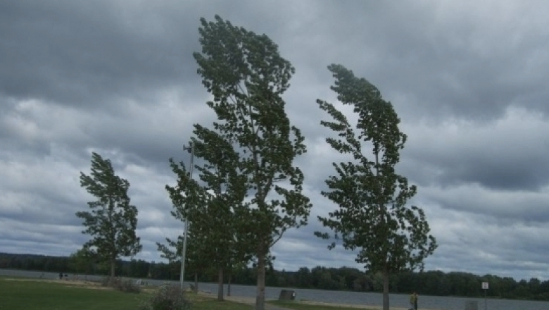 atentionare pentru judetul olt rafale puternice de vant in trei localitati 68a8cdbe001b1