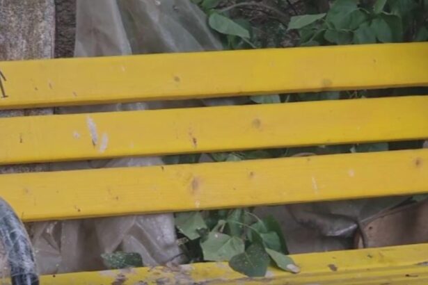 banci galbene de 120 000 de lei in comuna fara canalizare primarul se mandreste cu investitia 68a6dd9e5ed43