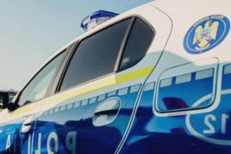 barbat prins in timp ce schingiuia o pisica intr o ghena de gunoi animalul a murit iar individul a ajuns in arest 68a95eb0b176a