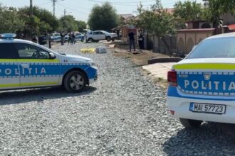 crima socanta in teleorman mama si un fiu ucisi de un recidivist o a treia persoana in stare grava la spital 6891c2e3549b5