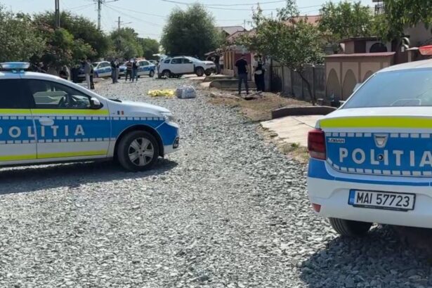 crima socanta in teleorman mama si un fiu ucisi de un recidivist o a treia persoana in stare grava la spital 6891c2e3549b5