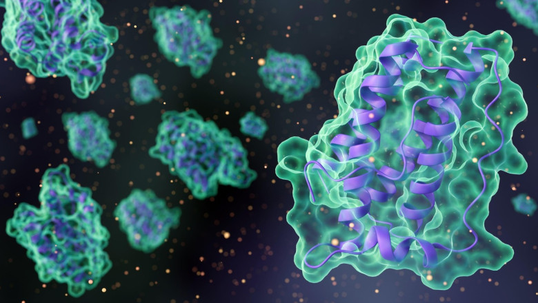 diabetul de tip 1 ar putea fi tratat fara insulina cercetatorii testeaza efectele unui hormon asupra creierului 6890a29879aa5