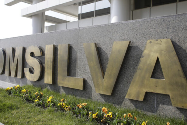 diana buzoianu publica cifrele dezastrului descoperit la romsilva fac reforma institutiei nu doar necesara ci obligatorie 68908fe5328d0