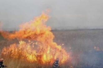 directia de mediu arderea resturilor vegetale interzisa 68a5acb568e01