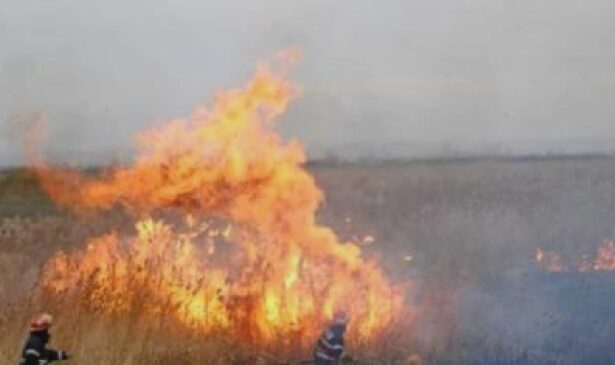 directia de mediu arderea resturilor vegetale interzisa 68a5acb568e01