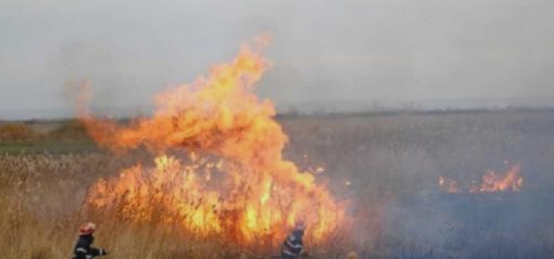 directia de mediu arderea resturilor vegetale interzisa 68a5acb568e01