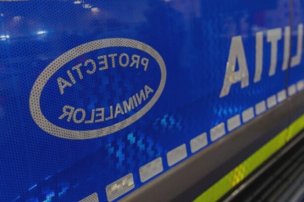 femeie filmata cu doi magari legati de o masina politia nu se impune emiterea unui ordin de plasare in adapost a animalelor 68a20844803e6