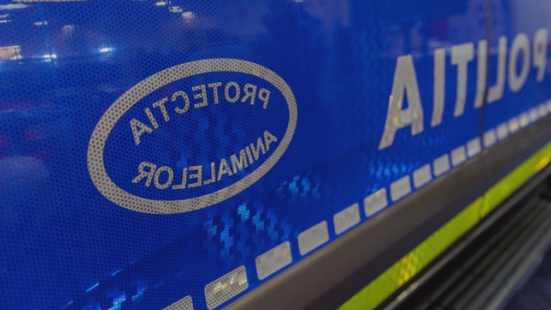 femeie filmata cu doi magari legati de o masina politia nu se impune emiterea unui ordin de plasare in adapost a animalelor 68a20844803e6