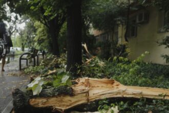 furtunile se muta in jumatatea de sud a tarii meteorolog o vreme schimbatoare si cu intervale de instabilitate 68a2be47c5e40 1