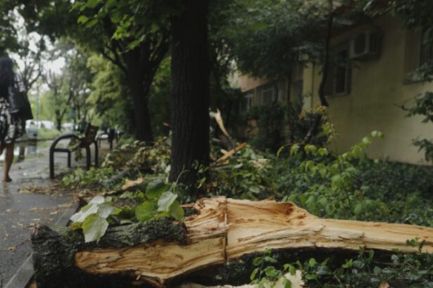 furtunile se muta in jumatatea de sud a tarii meteorolog o vreme schimbatoare si cu intervale de instabilitate 68a2be47c5e40 1